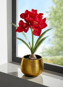 BADER Amaryllis-Gesteck in goldenem Topf