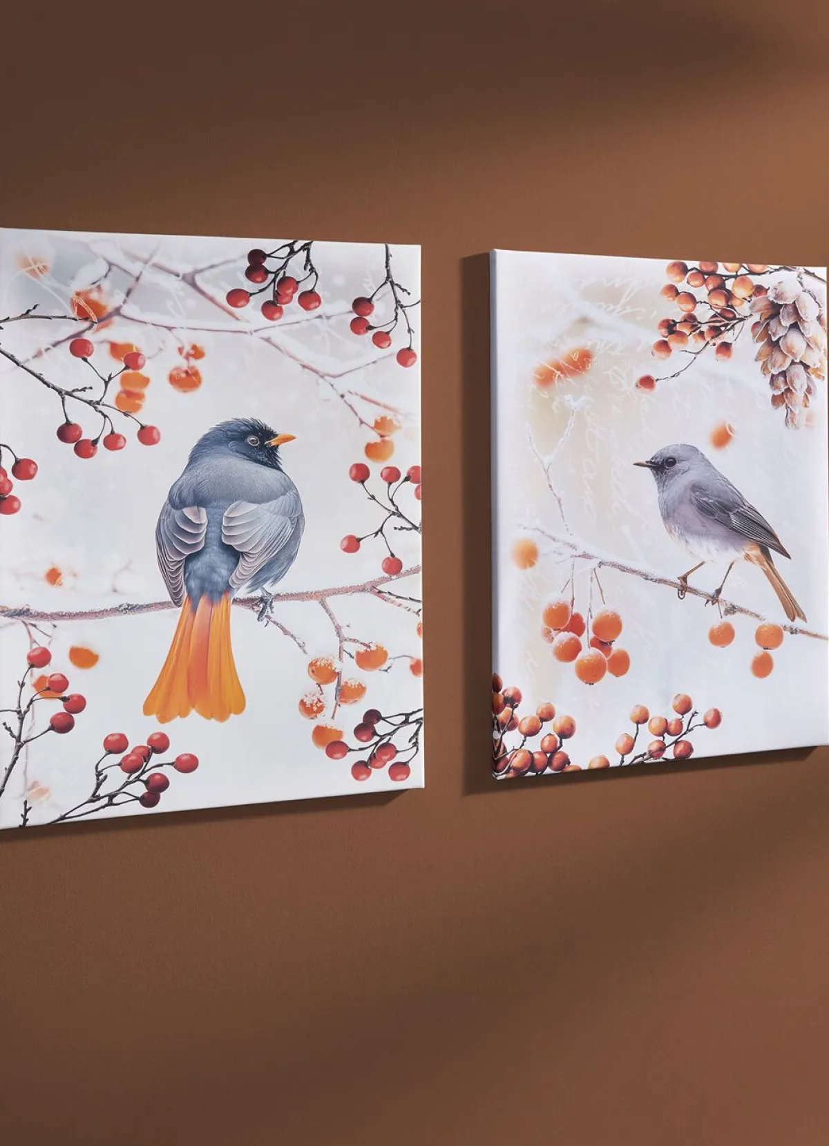 BADER Bild Vogel des Jahres 2025 Hausrotschwanz auf Leinwand