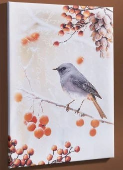 BADER Bild Vogel des Jahres 2025 Hausrotschwanz auf Leinwand