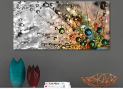 BADER Bild Wassertropfen auf einer Pusteblume