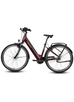 BADER E-Bike Comfort Plus 5.0 von Saxonette