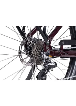 BADER E-Bike Deluxe SUV Easy