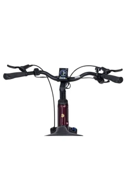 BADER E-Bike Deluxe SUV Easy