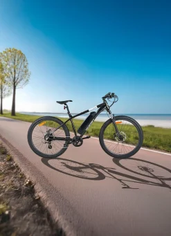 BADER E-Mountainbike von Veccocraft