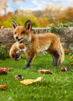 BADER Fuchs mit Jungem