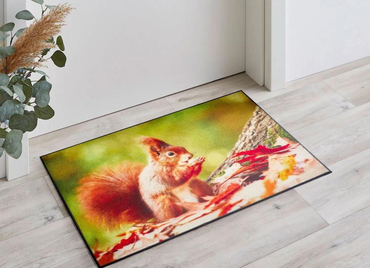BADER Fußmatte mit Eichhörnchen-Motiv