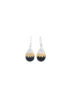 Damen BADER Funkelnde Ohrhaken mit Swarovski-Elements