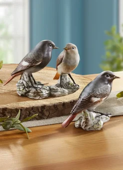 BADER Hausrotschwanz - Vogel des Jahres 2025
