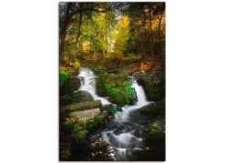 BADER Hochwertiges Leinwandbild „Selkefall im Harz“