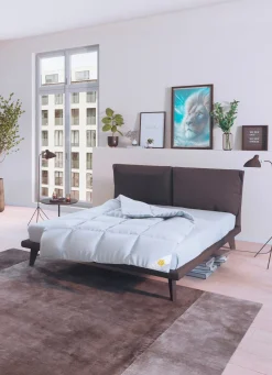 SPESSARTTRAUM Königlich Schlafen – Ganzjahresbett von