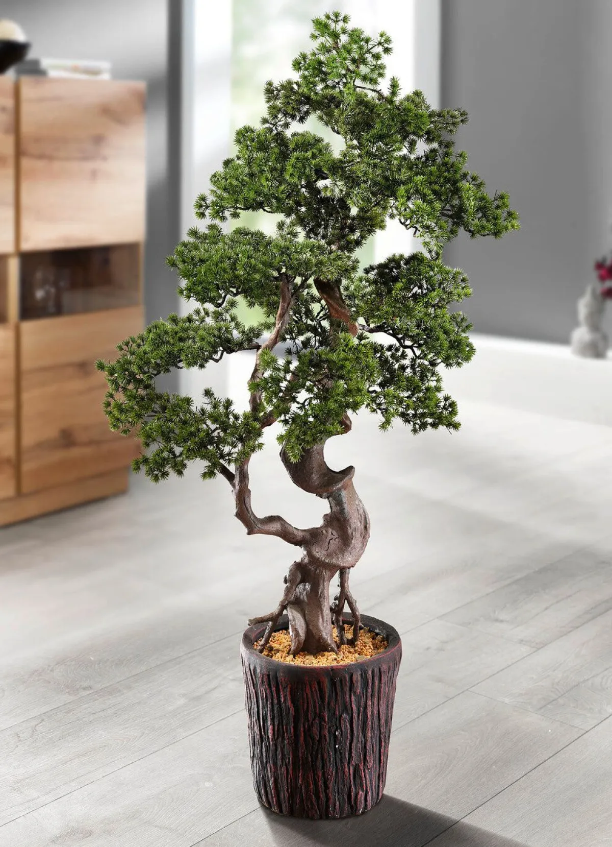 BADER Lärchen-Bonsai im Magnesiatopf