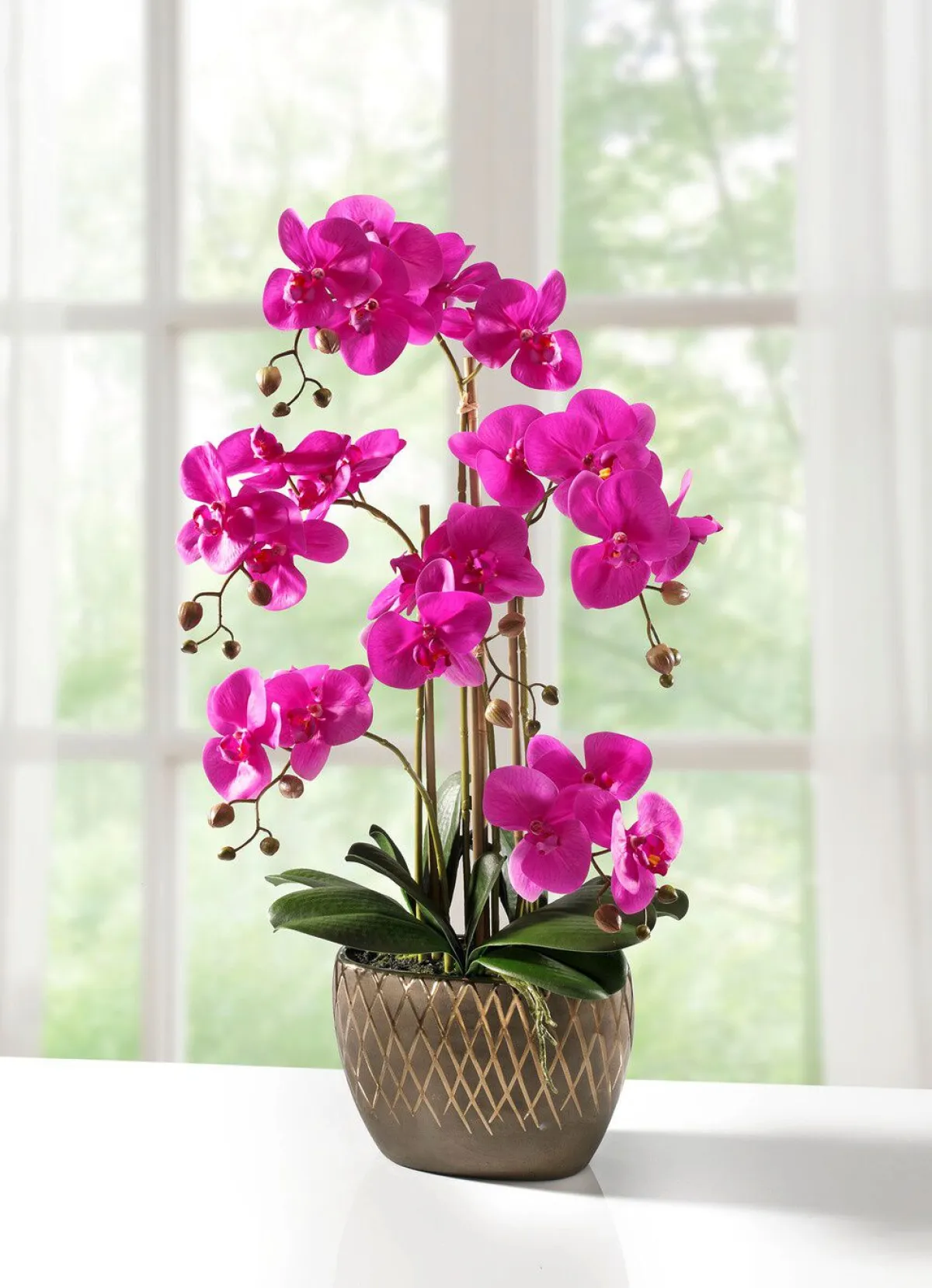 BADER Orchidee im Topf