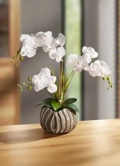 BADER Orchidee in silberfarbenen Topf