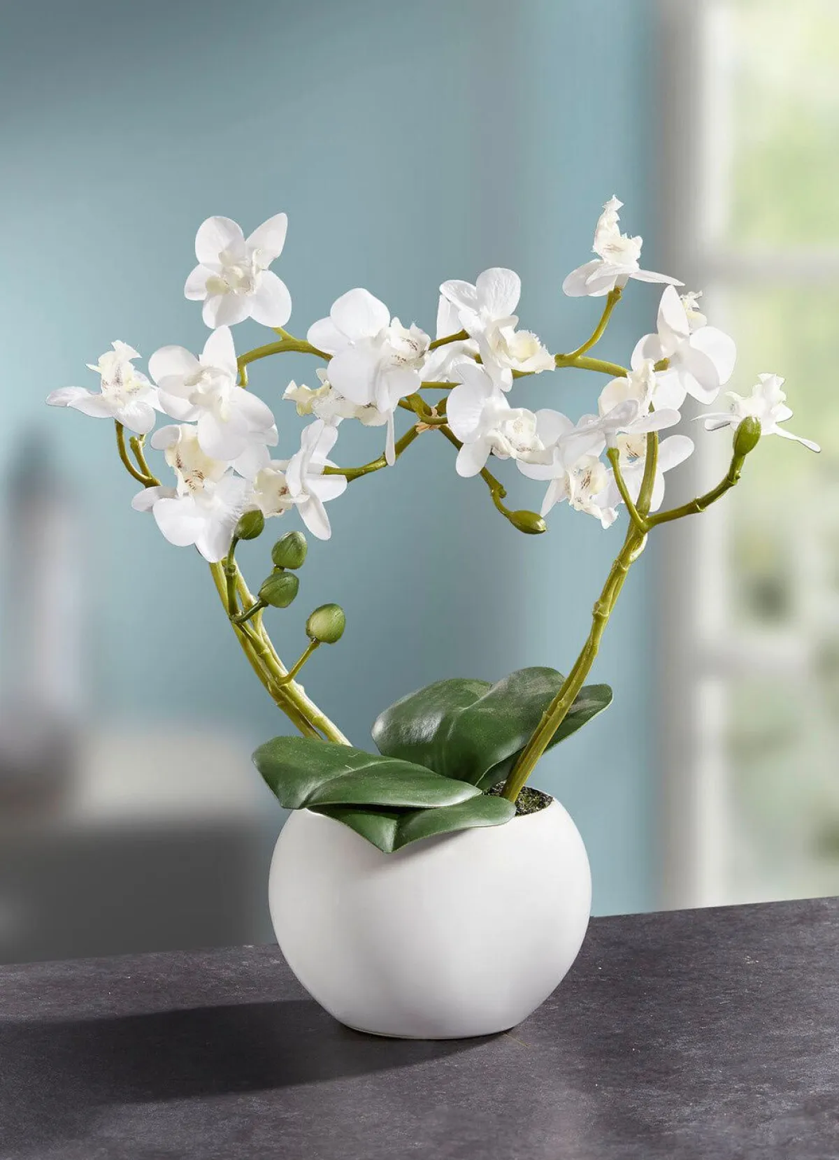 BADER Orchideen-Gesteck im Keramiktopf
