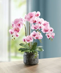 BADER Orchideen-Gesteck im Topf