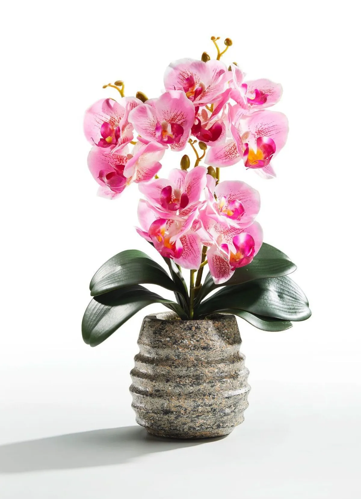 BADER Orchideen-Gesteck im Topf