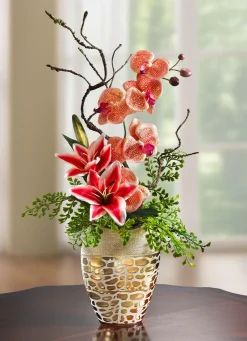 BADER Orchideen-Gesteck im Topf
