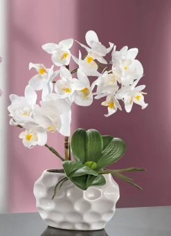 BADER Orchideen-Gesteck in Keramikvase