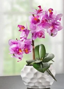 BADER Orchideen-Gesteck in Keramikvase