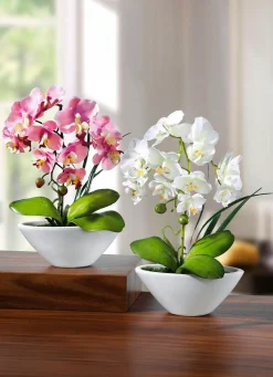 BADER Orchideen in Keramikschale, 2er-Set