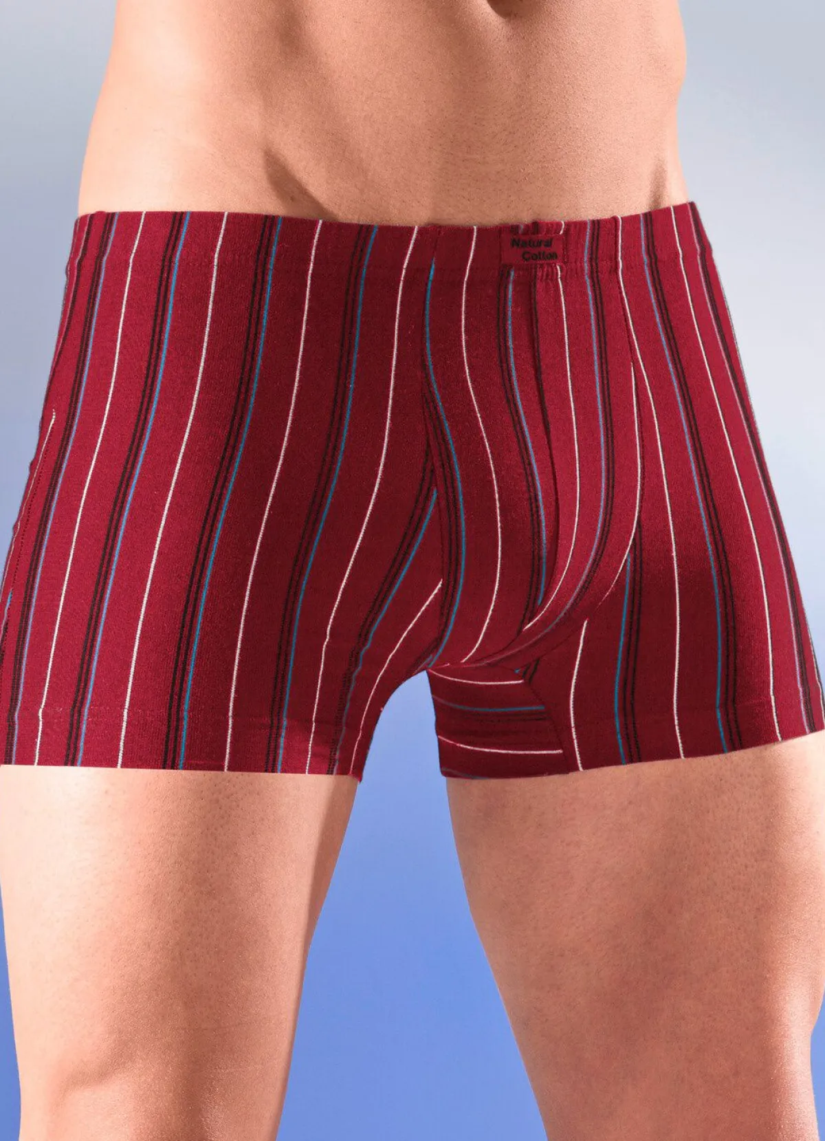 Herren BADER Sechserpack Pants mit Streifendessin