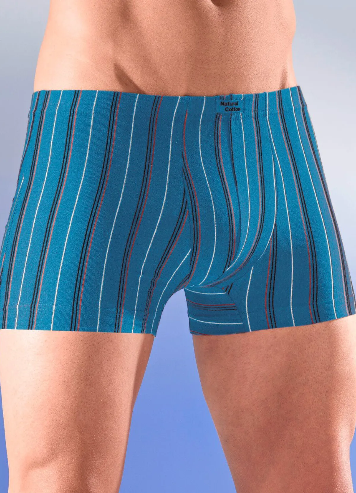 Herren BADER Sechserpack Pants mit Streifendessin