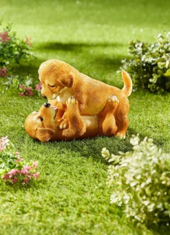 BADER Spielende Hundewelpen