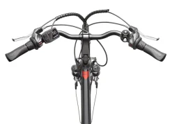 TELEFUNKEN Trekking-E-Bike XT485 von