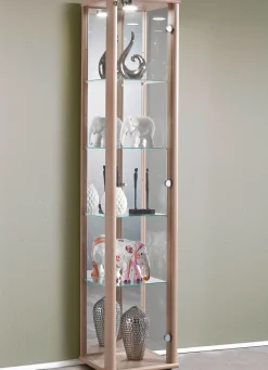 BADER Vitrine, 1-türig, mit LED-Beleuchtung